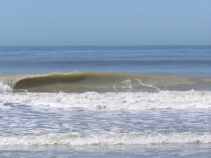 Enero-2009