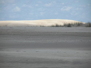 Enero-2009