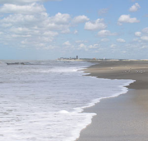 Enero-2009