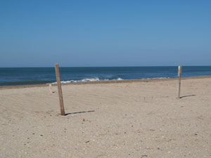 Enero-2009
